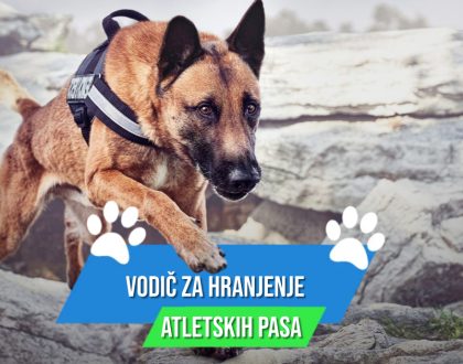 VODIČ ZA HRANJENJE ATLETSKIH PASA