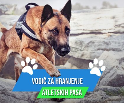 VODIČ ZA HRANJENJE ATLETSKIH PASA
