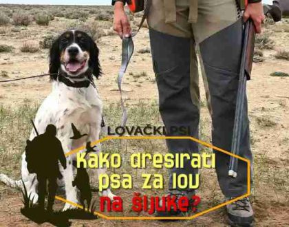 KAKO-DRESIRATI-PSA-ZA-LOV-NA-SLJUKE