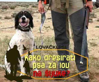 KAKO-DRESIRATI-PSA-ZA-LOV-NA-SLJUKE