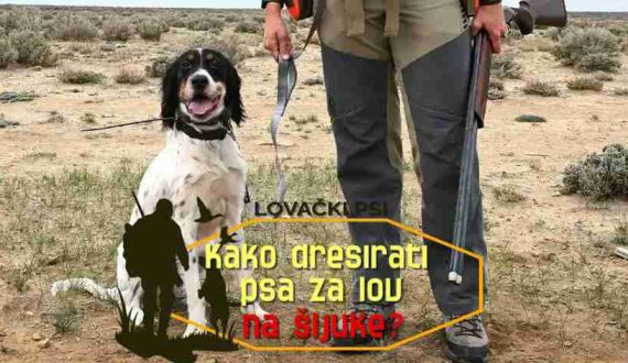 KAKO-DRESIRATI-PSA-ZA-LOV-NA-SLJUKE