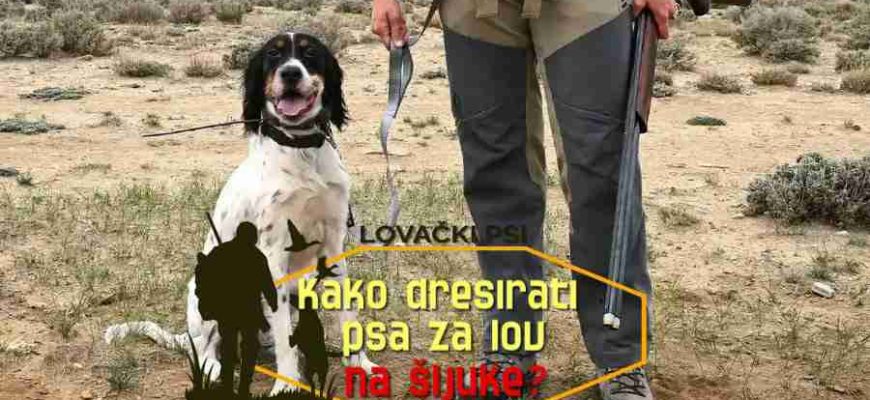 KAKO-DRESIRATI-PSA-ZA-LOV-NA-SLJUKE