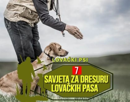 7 SAVJETA ZA DRESURU LOVAČKIH PASA