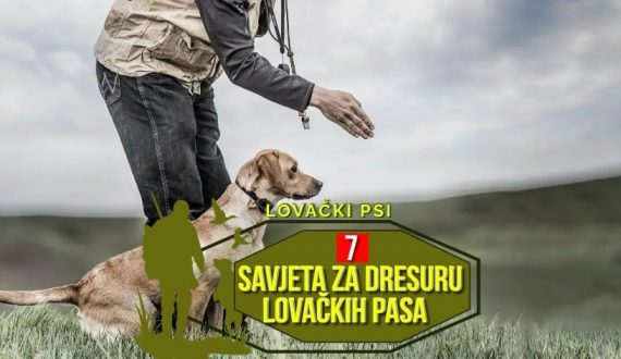 7 SAVJETA ZA DRESURU LOVAČKIH PASA