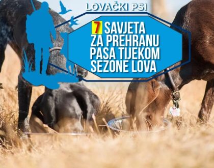 7 SAVJETA ZA PREHRANU PASA TIJEKOM SEZONE LOVA