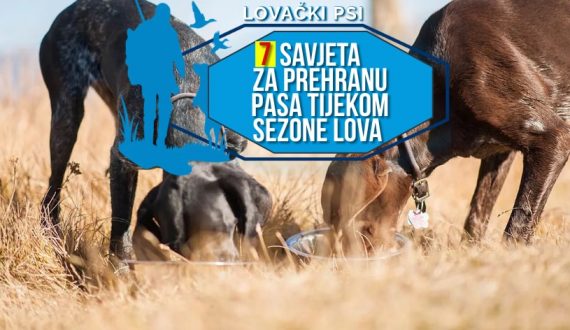 7 SAVJETA ZA PREHRANU PASA TIJEKOM SEZONE LOVA
