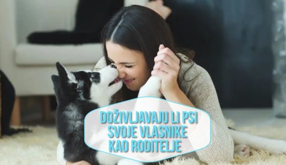 Doživljavaju li psi svoje vlasnike kao roditelj_
