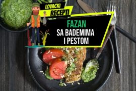 FAZAN SA BADEMIMA I PESTOM_