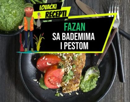 FAZAN SA BADEMIMA I PESTOM_