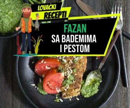 FAZAN SA BADEMIMA I PESTOM_