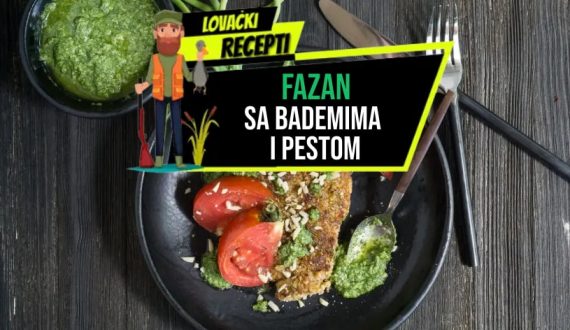 FAZAN SA BADEMIMA I PESTOM_