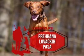 PREHRANA LOVAČKIH PASA