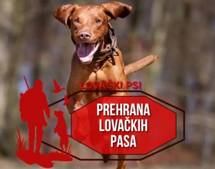 PREHRANA LOVAČKIH PASA