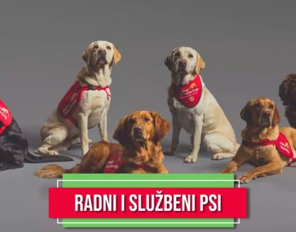 RADNI I SLUŽBENI PSI