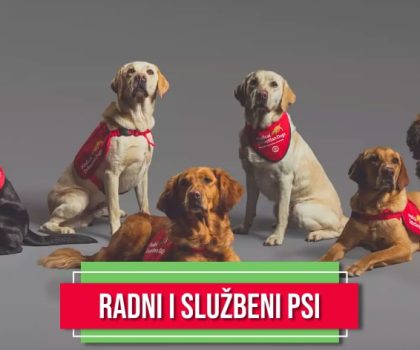 RADNI I SLUŽBENI PSI