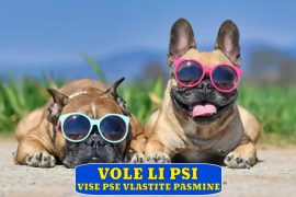 VOLE LI PSI VIŠE PSE VLASTITE PASMINE_