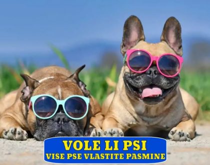 VOLE LI PSI VIŠE PSE VLASTITE PASMINE_
