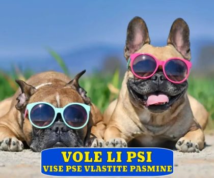 VOLE LI PSI VIŠE PSE VLASTITE PASMINE_