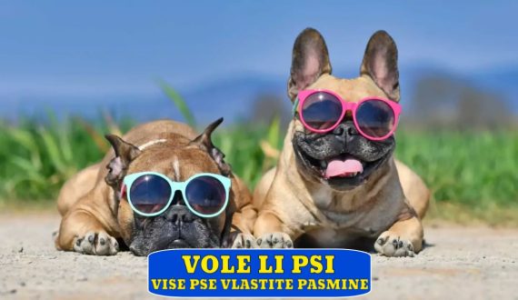 VOLE LI PSI VIŠE PSE VLASTITE PASMINE_