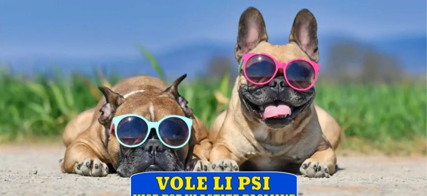 VOLE LI PSI VIŠE PSE VLASTITE PASMINE_