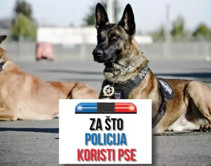 ZA ŠTO POLICIJA KORISTI PSE