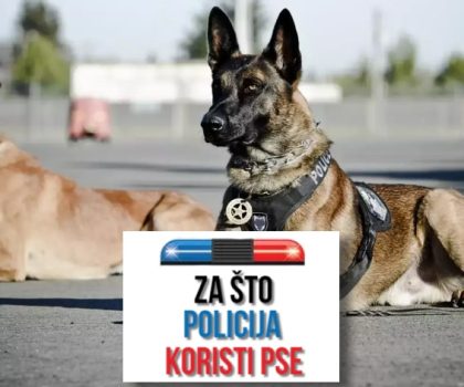 ZA ŠTO POLICIJA KORISTI PSE