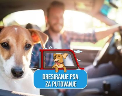 DRESIRANJE PSA ZA PUTOVANJE