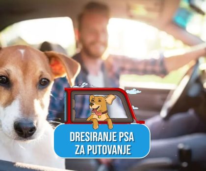 DRESIRANJE PSA ZA PUTOVANJE