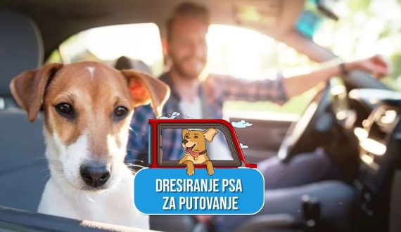 DRESIRANJE PSA ZA PUTOVANJE