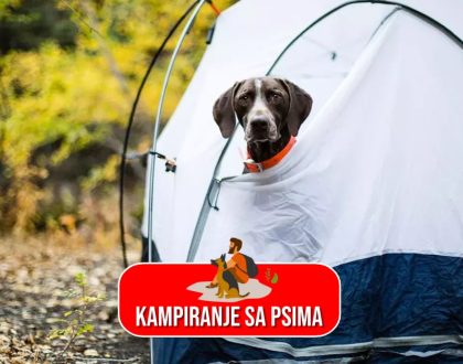 Kampiranje sa psima