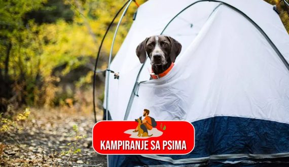 Kampiranje sa psima