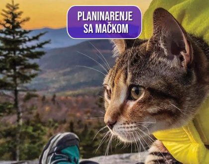 PLANINARENJE S MAČKAMA