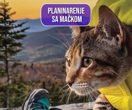 PLANINARENJE S MAČKAMA