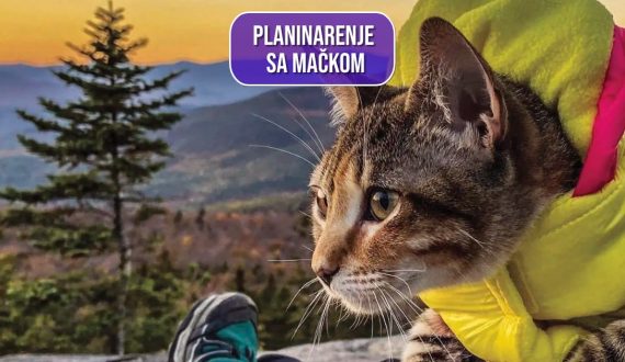 PLANINARENJE S MAČKAMA