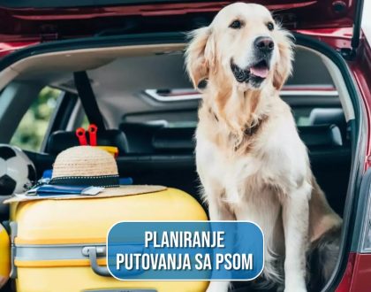 PLANIRANJE PUTOVANJA SA PSOM