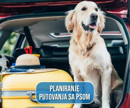 PLANIRANJE PUTOVANJA SA PSOM