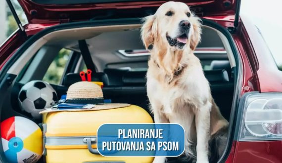 PLANIRANJE PUTOVANJA SA PSOM
