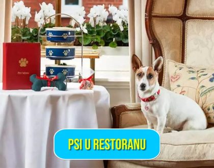 PSI U RESTORANU