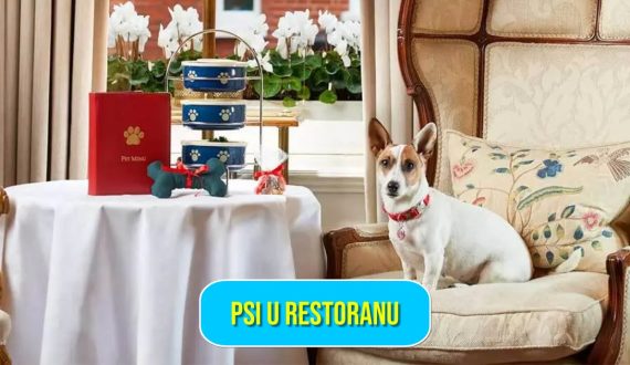 PSI U RESTORANU