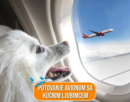 PUTOVANJE AVIONOM SA KUĆNIM LJUBIMCEM_
