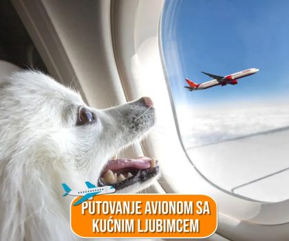 PUTOVANJE AVIONOM SA KUĆNIM LJUBIMCEM_