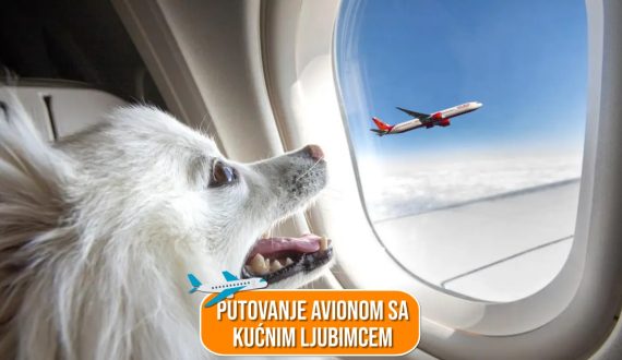 PUTOVANJE AVIONOM SA KUĆNIM LJUBIMCEM_