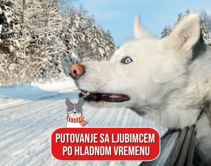 PUTOVANJE SA LJUBIMCEM PO HLADNOM VREMENU