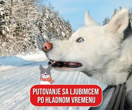 PUTOVANJE SA LJUBIMCEM PO HLADNOM VREMENU