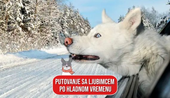 PUTOVANJE SA LJUBIMCEM PO HLADNOM VREMENU