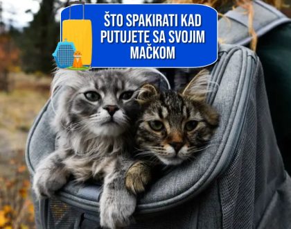 ŠTO SPAKIRATI KAD PUTUJETE SA SVOJOM MAČKOM