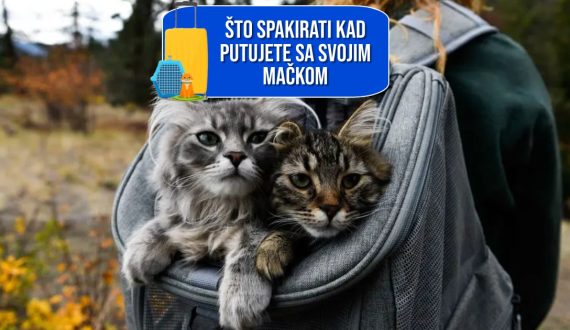ŠTO SPAKIRATI KAD PUTUJETE SA SVOJOM MAČKOM