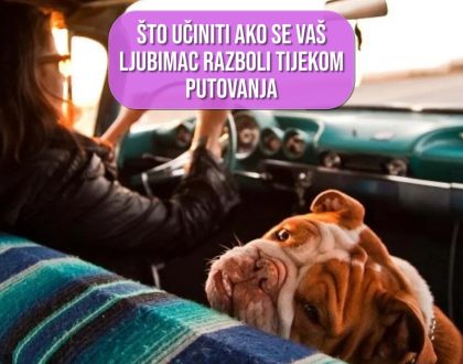ŠTO UČINITI AKO SE VAŠ LJUBIMAC RAZBOLI TIJEKOM PUTOVANJA