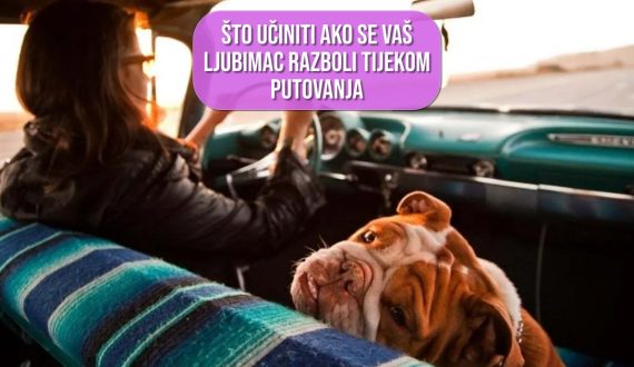 ŠTO UČINITI AKO SE VAŠ LJUBIMAC RAZBOLI TIJEKOM PUTOVANJA
