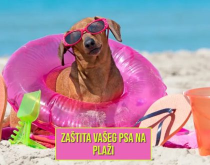 ZAŠTITA VAŠEG PSA NA PLAŽI